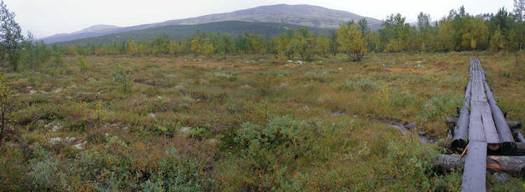 Ergens in het Okseldalen